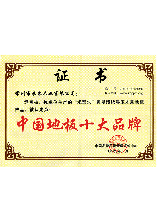 中國(guó)十大品牌